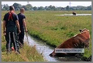 Oom agent Zomertijd(7K)