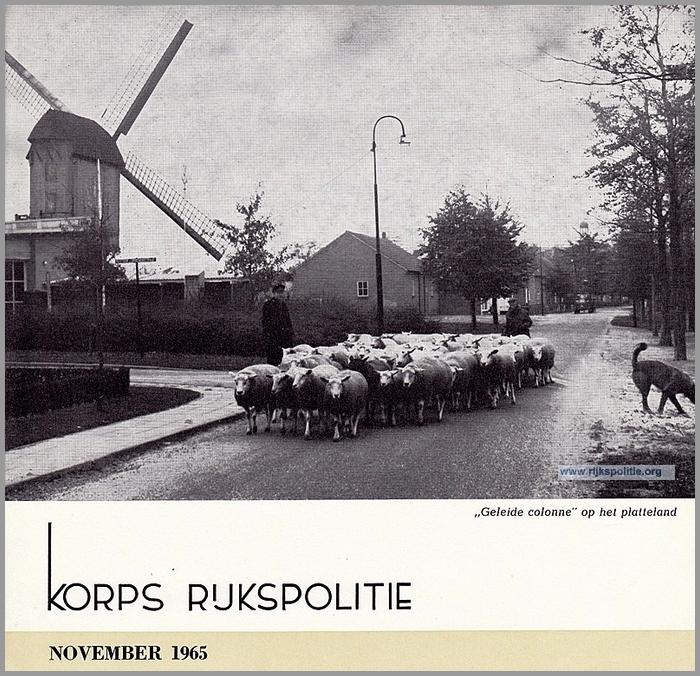 RP Kalender 1965 11 0120a(7V)